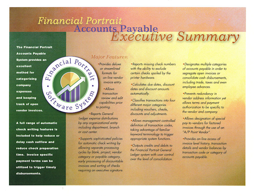 Financial Portrait Accounts Payable Executive Summary